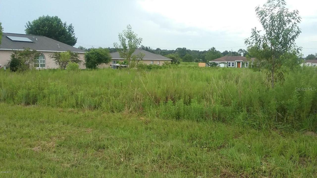 TBD Larch Rd., Ocala, FL 34480