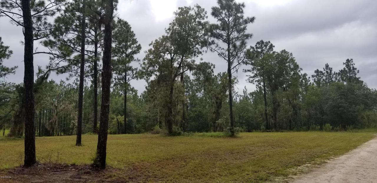 00 SE 142 Ter., Williston, FL 32696