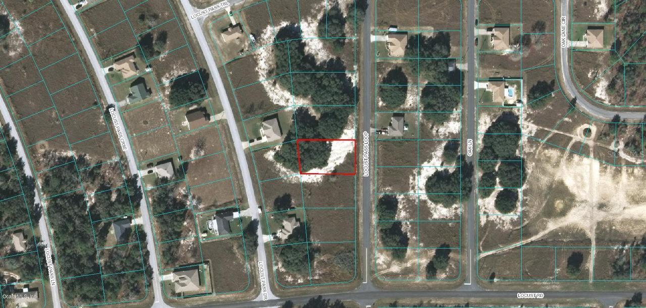 Locust Pass Loop, Ocala, FL 34472