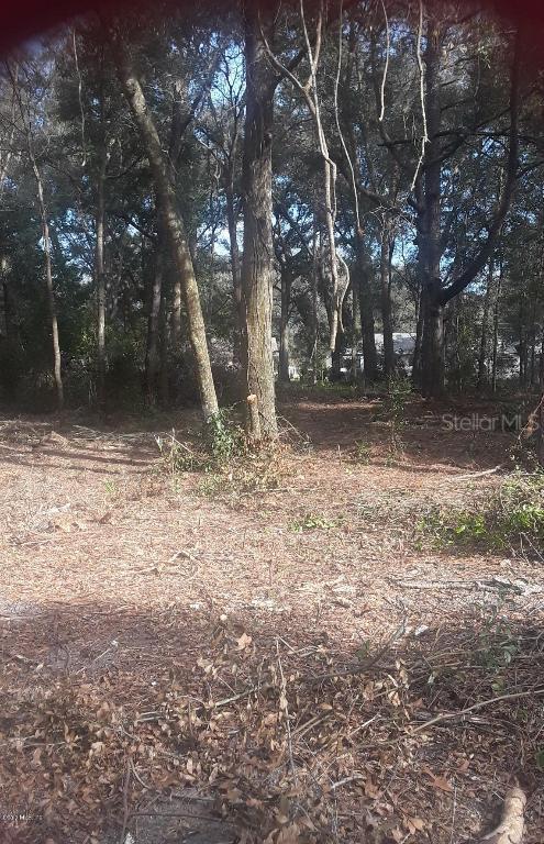 12177 SE 72nd Court Rd., Belleview, FL 34420