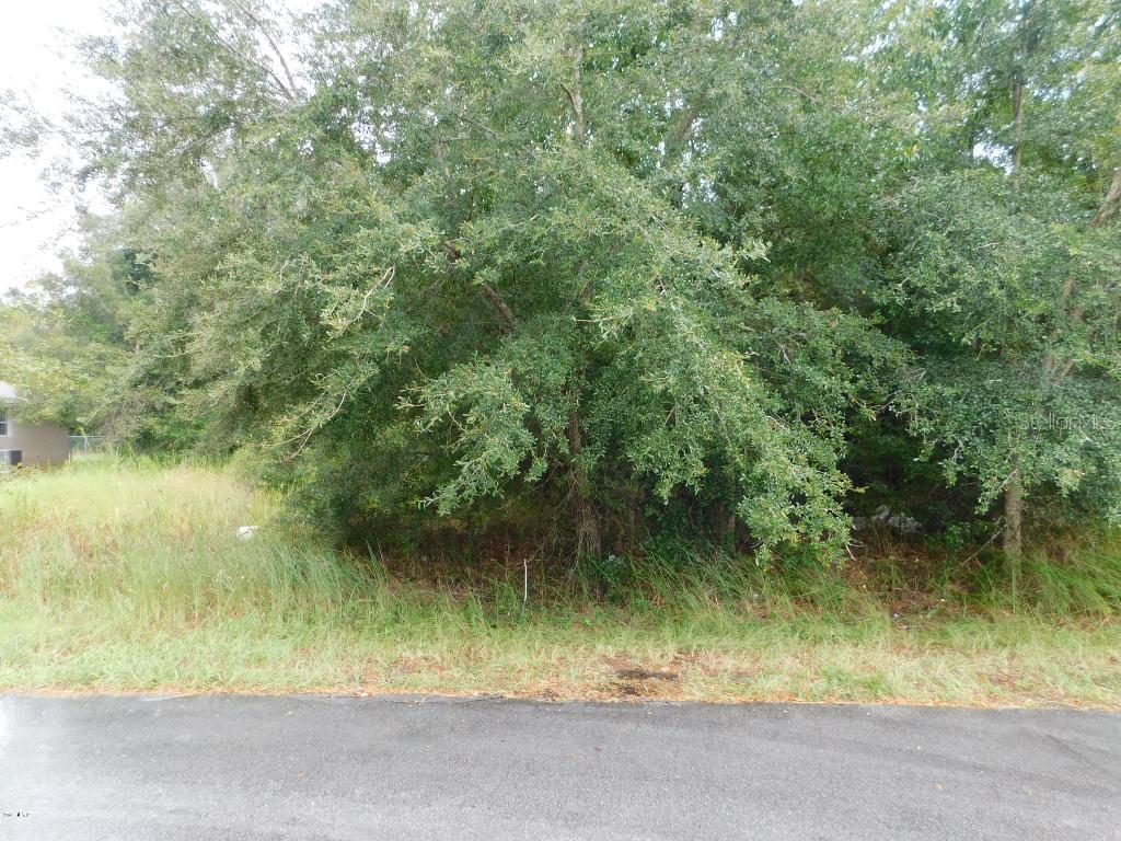 SE Bahia Pass Pl., Ocala, FL 34472