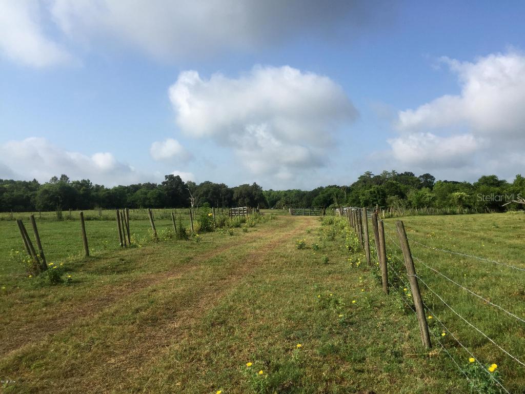 1196 Us-301, Sumterville, FL 33585