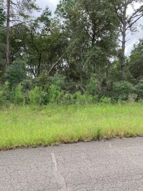 SW 41 Cir., Ocala, FL 34473