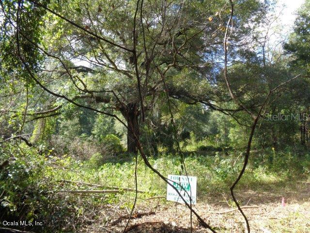 NW 38th Avenue Rd., Ocala, FL 34475