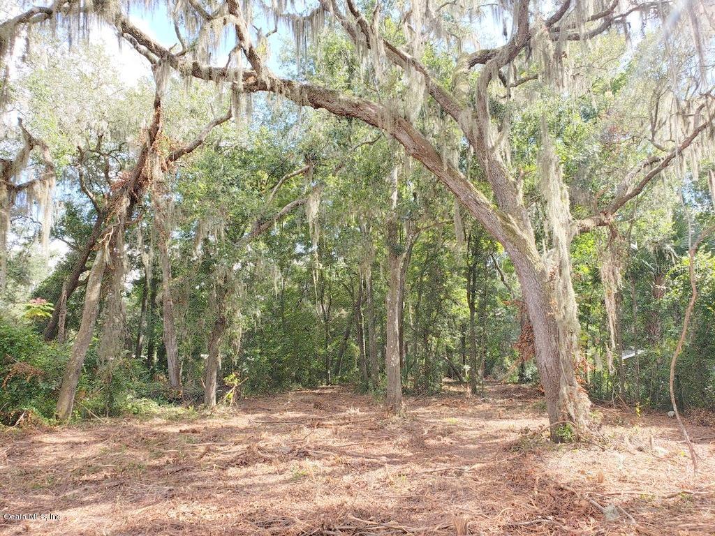 4444 NE 175th Street Road Rd., Citra, FL 32113