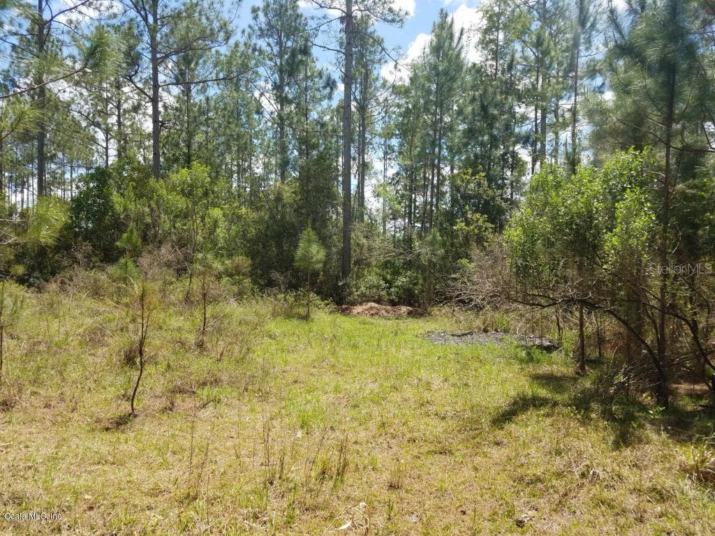 13250 NE 220 St., Fort Mc Coy, FL 32134