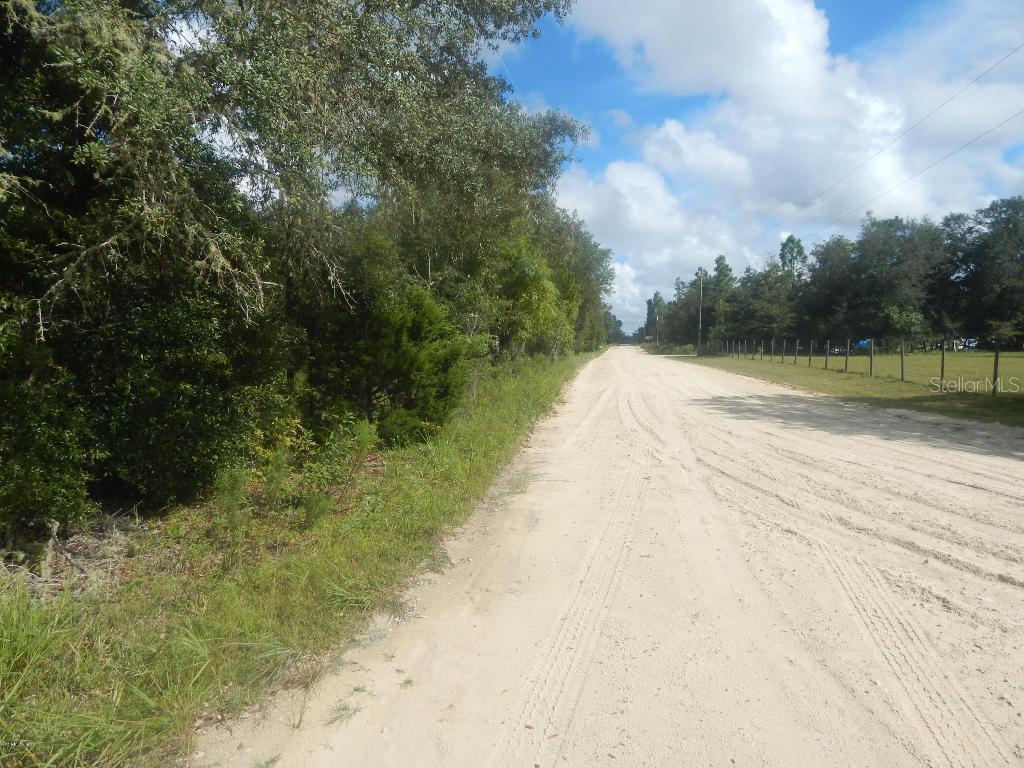 9050 NE 137 Ct., Williston, FL 32696