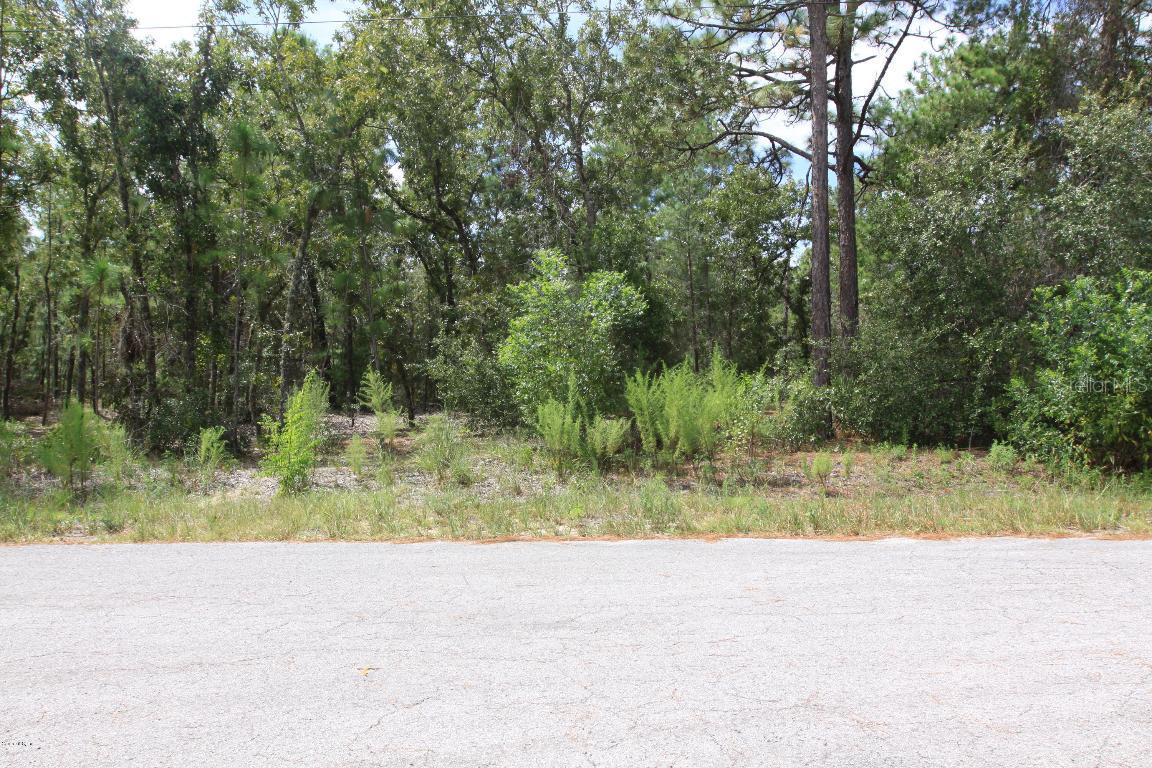 Oak Trail Run, Ocala, FL 34472