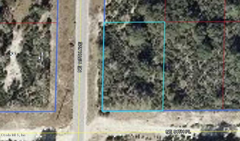 tbd NE 115th Ave & 64th Place, Williston, FL 32696