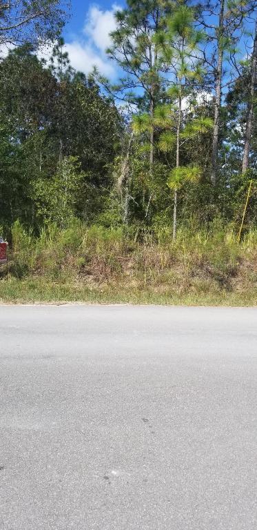 00 SW 159th Ct., Ocala, FL 34481