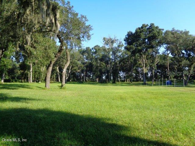 4119 SE Hwy 42, Summerfield, FL 34491