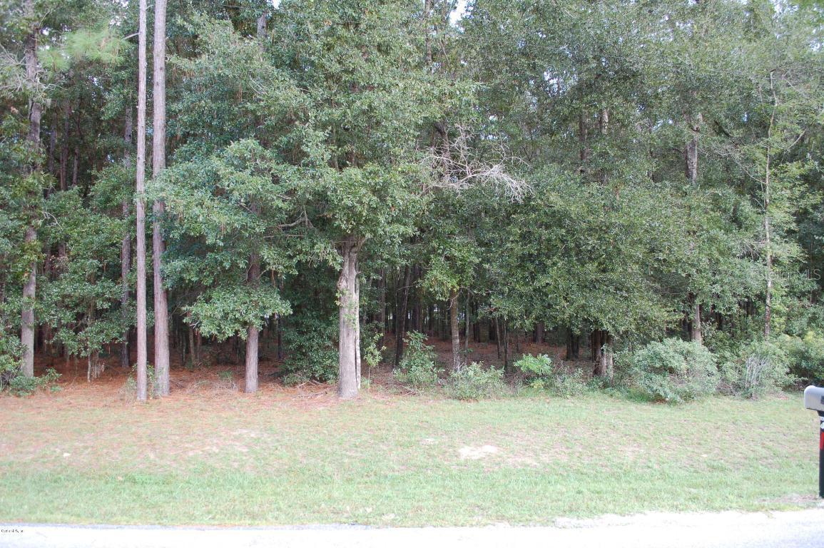NW 57th Ave., Ocala, FL 34482