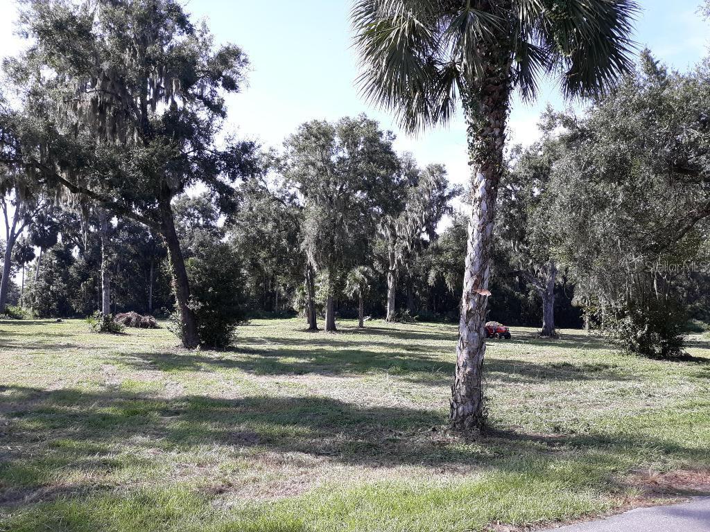 NW 4 St., Williston, FL 32696