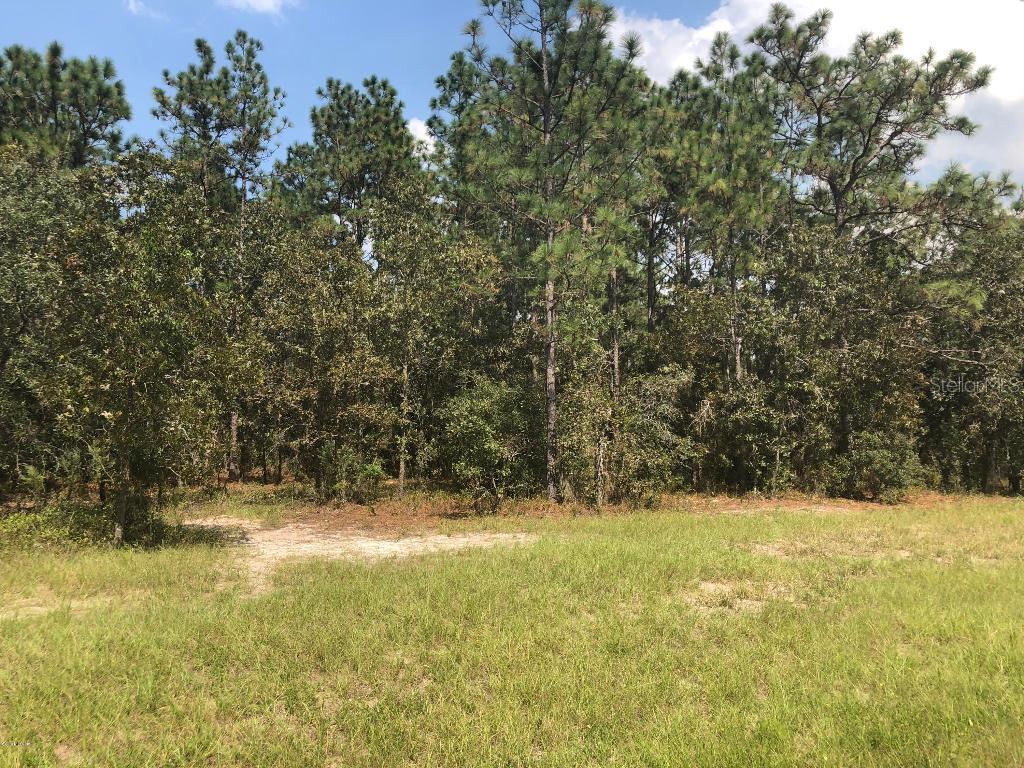 SW 64th  Terrace Rd., Ocala, FL 34473