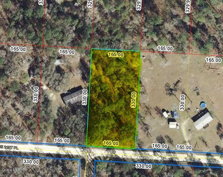 TBD SE 21 Pl., Morriston, FL 32668