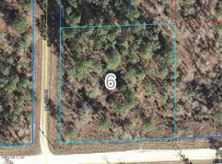 000 NE 12th St., Williston, FL 32696