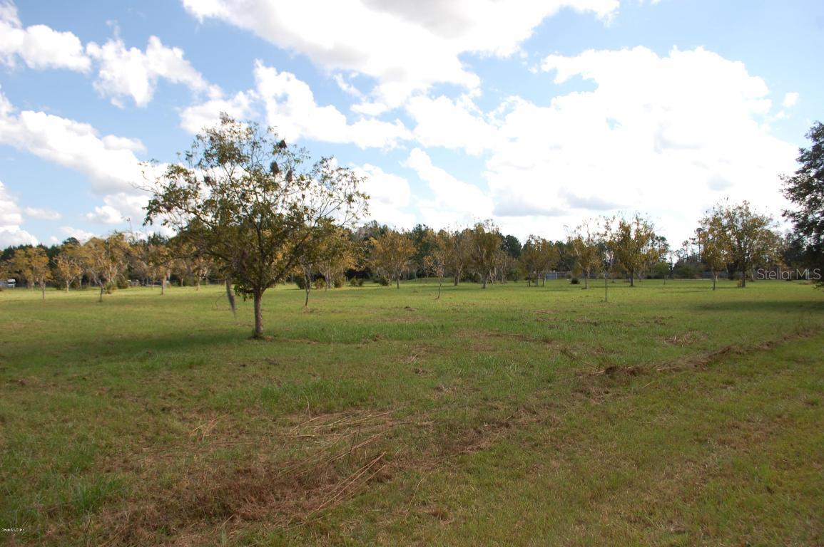00 NE 35th Ave., Melrose, FL 32666