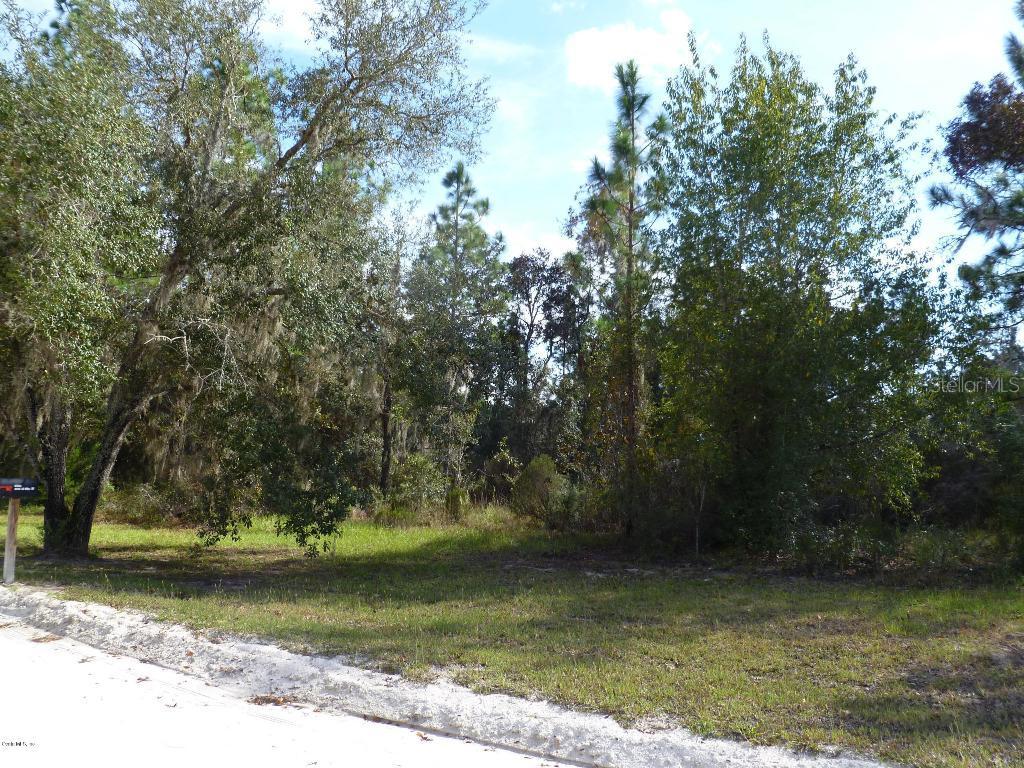TBD NE 38th Pl., Williston, FL 32696