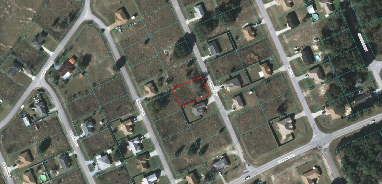 TBD Juniper Run, Ocala, FL 34480