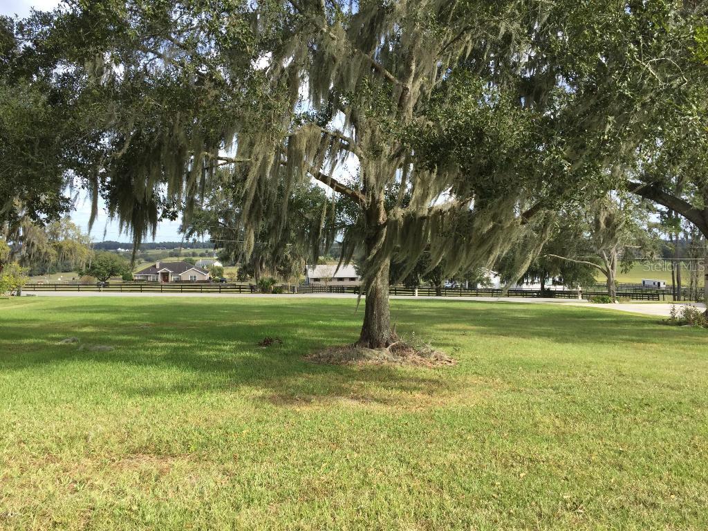 TBD NW 75 Ave., Ocala, FL 34482