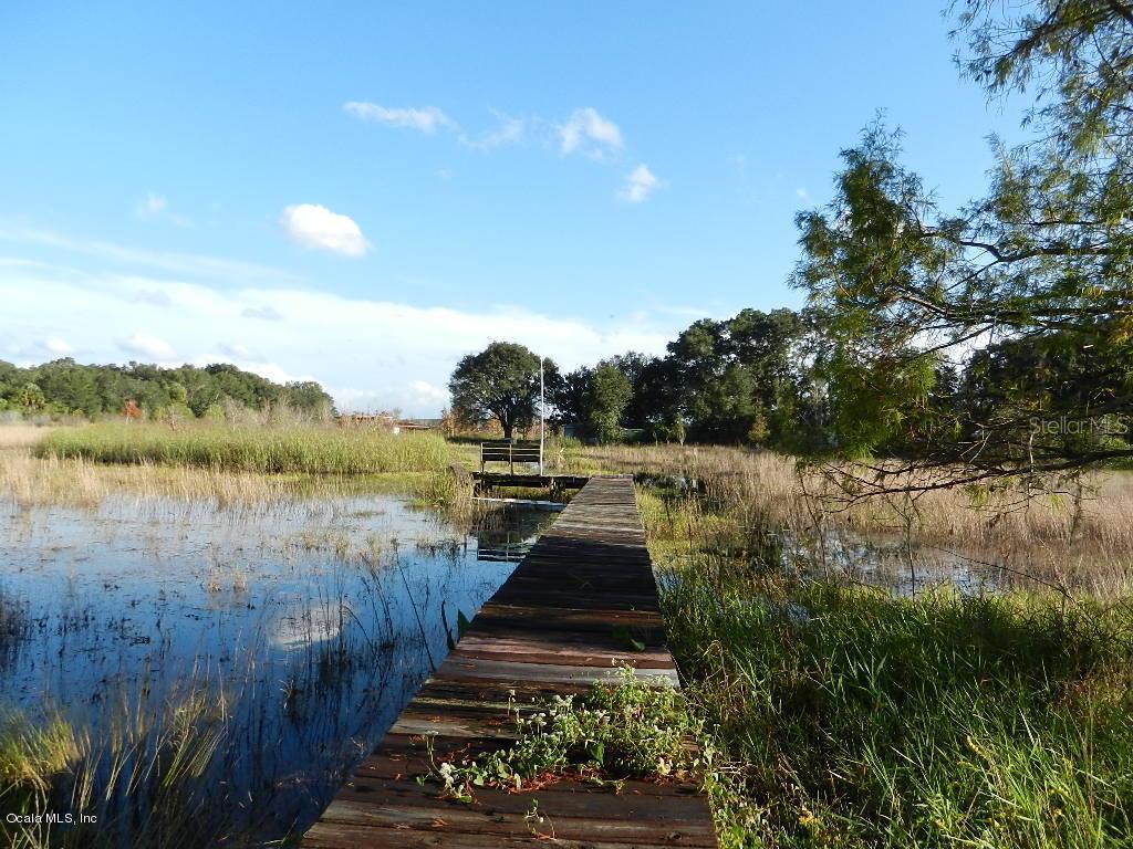 14520 NE 209th Terrace Rd., Fort Mccoy, FL 32134
