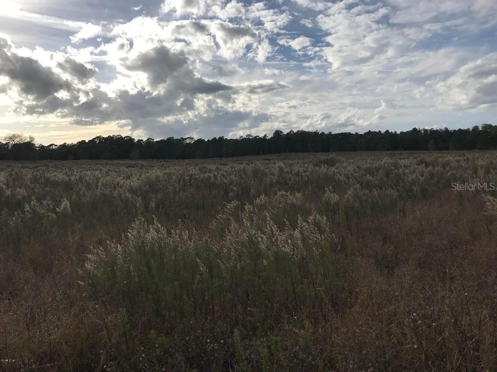 SW 150th Ct., Ocala, FL 34481