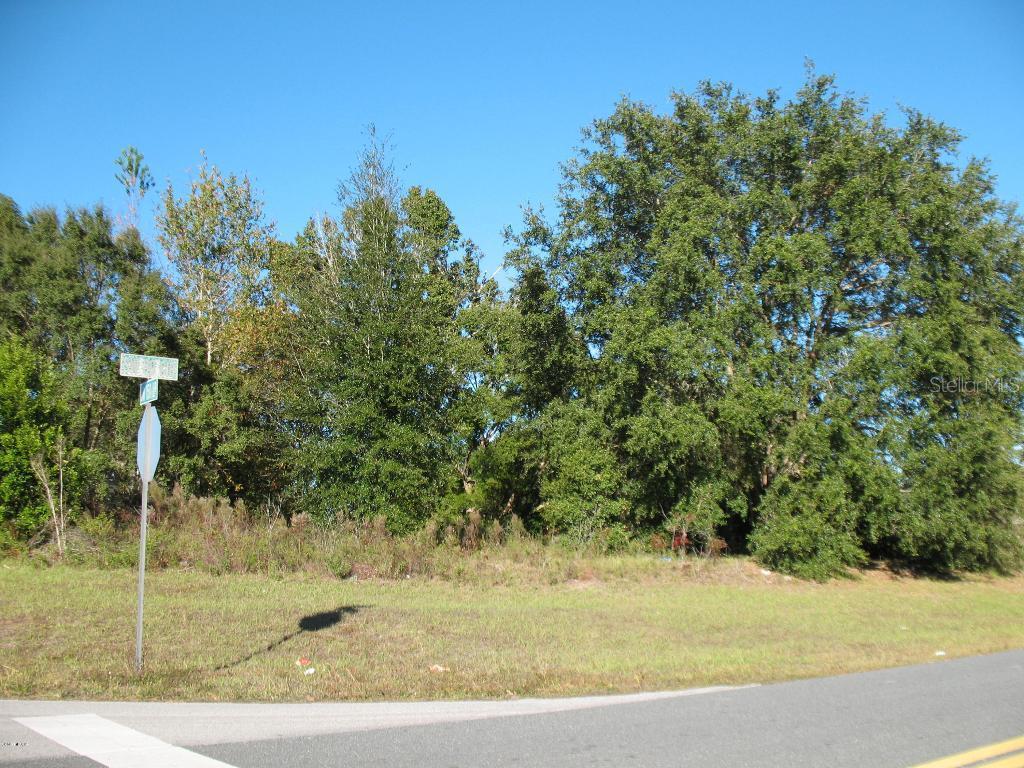TBA SW 39 Circle Cir., Ocala, FL 34473