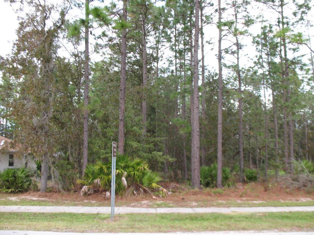 TBA Marion Oaks Trail, Ocala, FL 34473
