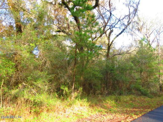 TBD E Lake View Dr., Ocala, FL 34482