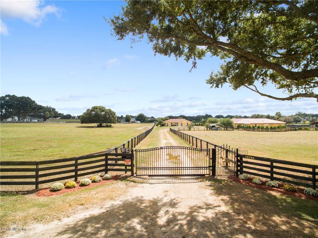 13246 County Road 103, Oxford, FL 34484