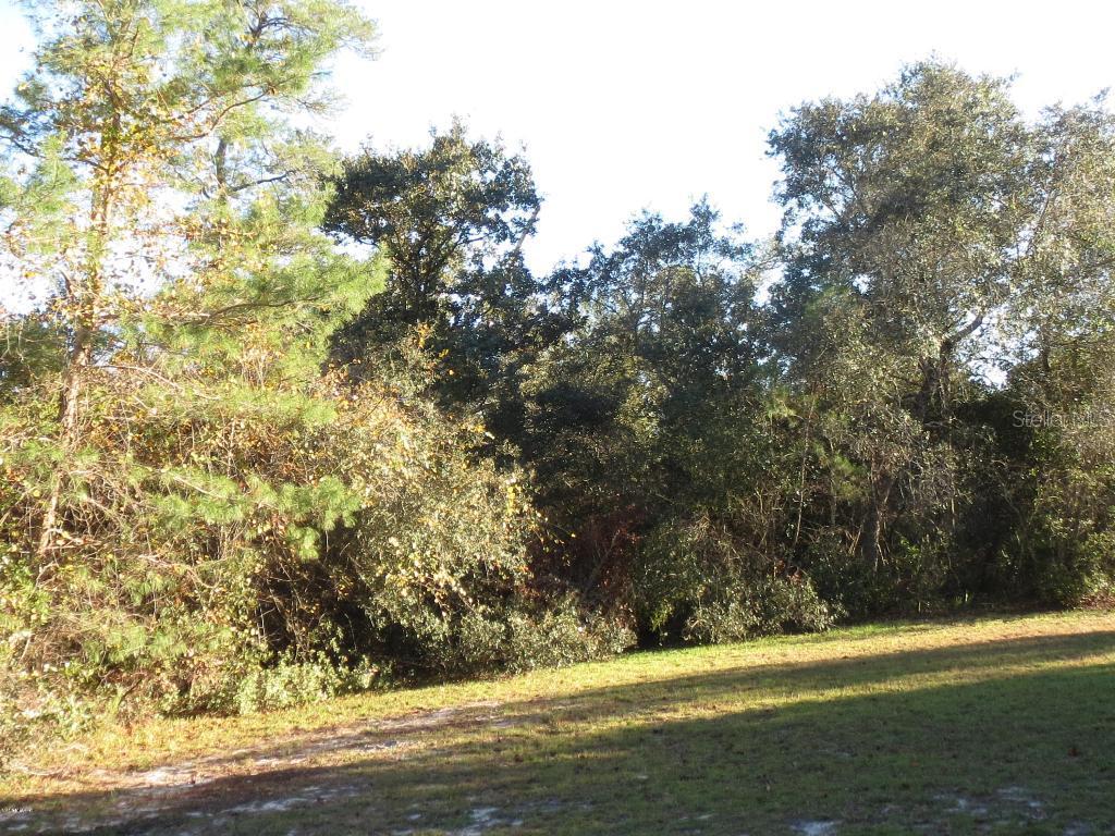 TBD SW 46th Ave Rd., Ocala, FL 34473
