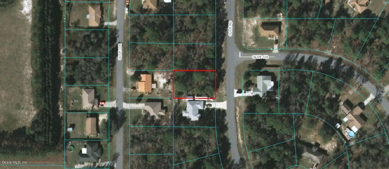 00 Olive Rd., Ocala, FL 34472