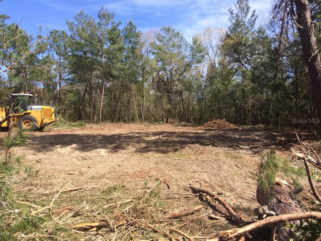 SW 56th Ave Ave., Ocala, FL 34476