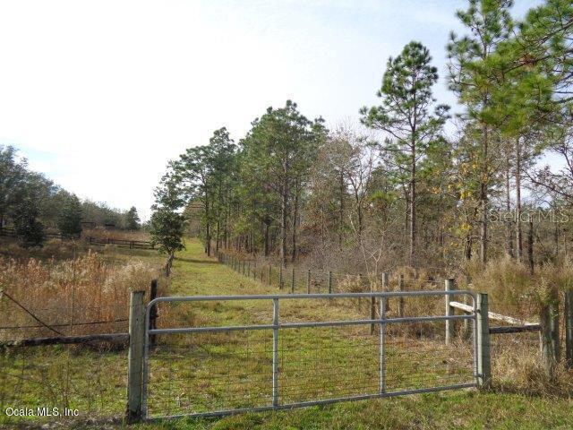 SE 143rd Ct., Williston, FL 32696