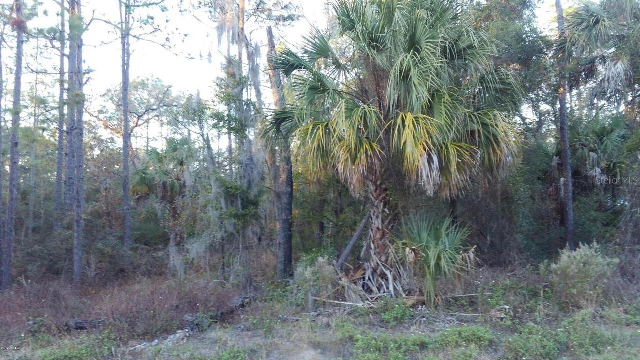 10269 W Dunnellon Rd., Crystal River, FL 34428