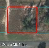 Locust Rd., Ocala, FL 34472