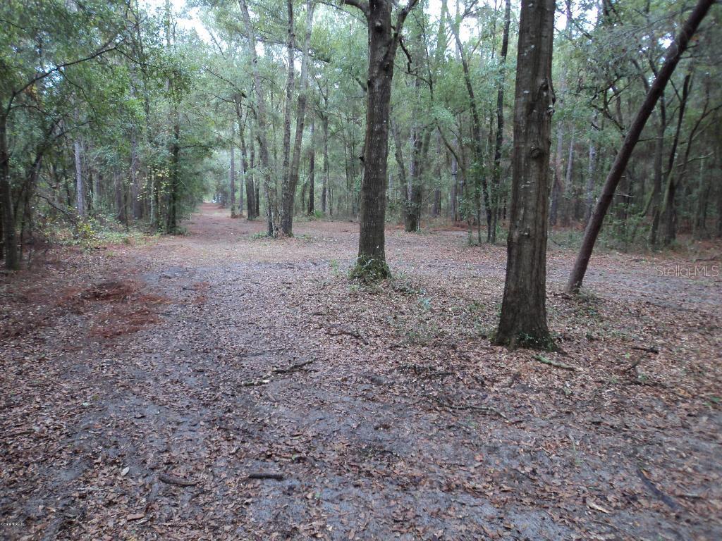 SW 16th Ave., Ocala, FL 34473