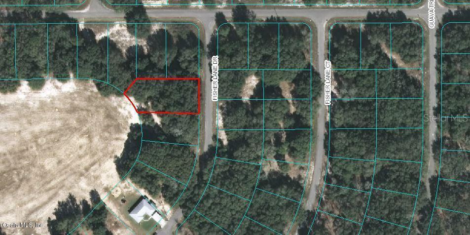 TBD Fisher Lane Drive, Ocklawaha, FL 32179