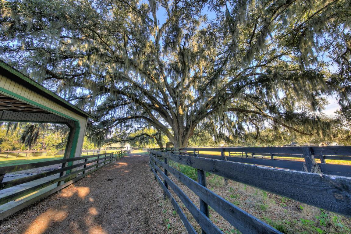 7605 SW 19th Avenue Rd., Ocala, FL 34476