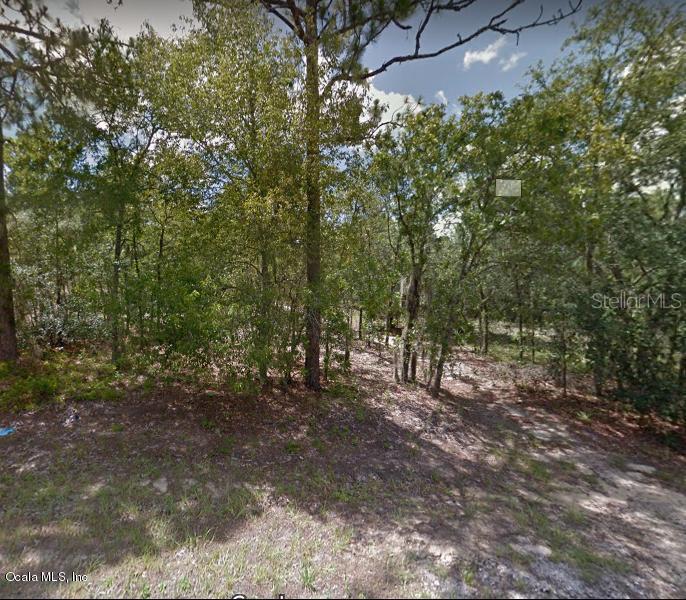 Locust Loop Pl., Ocala, FL 34472
