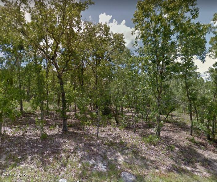 00 Locust Loop Pl., Ocala, FL 34472