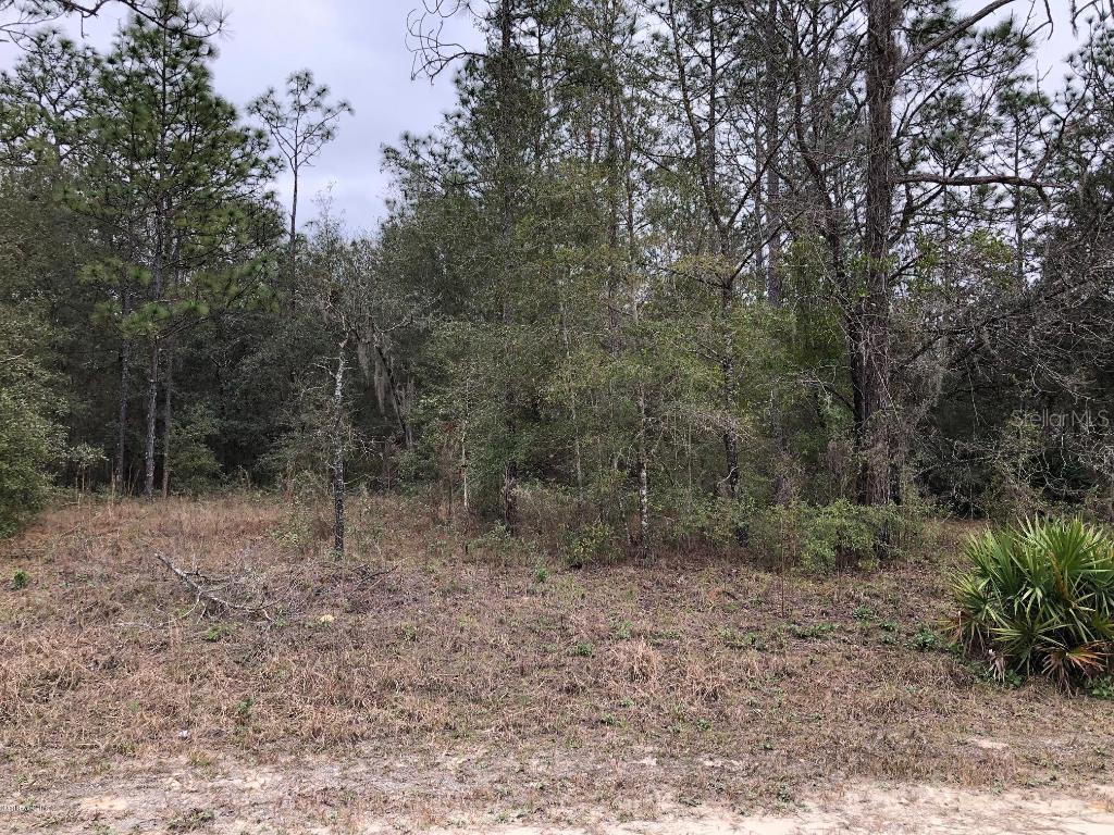 SW 162 Ter., Ocala, FL 34481