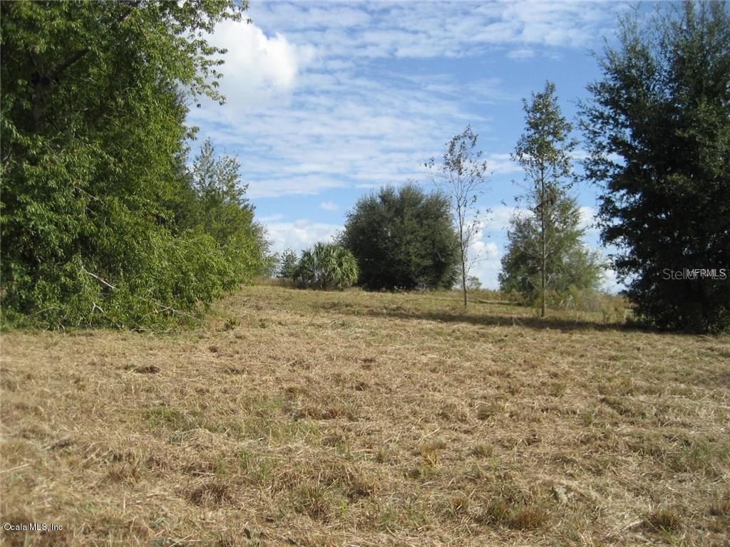 15355 SE 160th Ave., Weirsdale, FL 32195