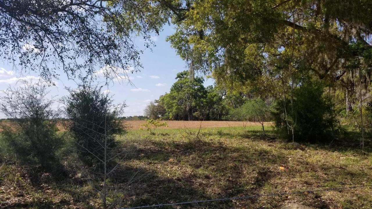 TBD NE 147 Ct., Williston, FL 32696