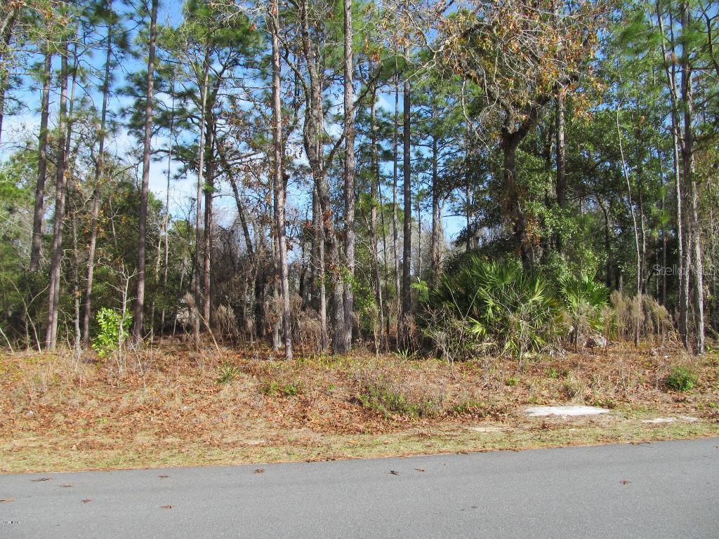Pecan Run Course, Ocala, FL 34472