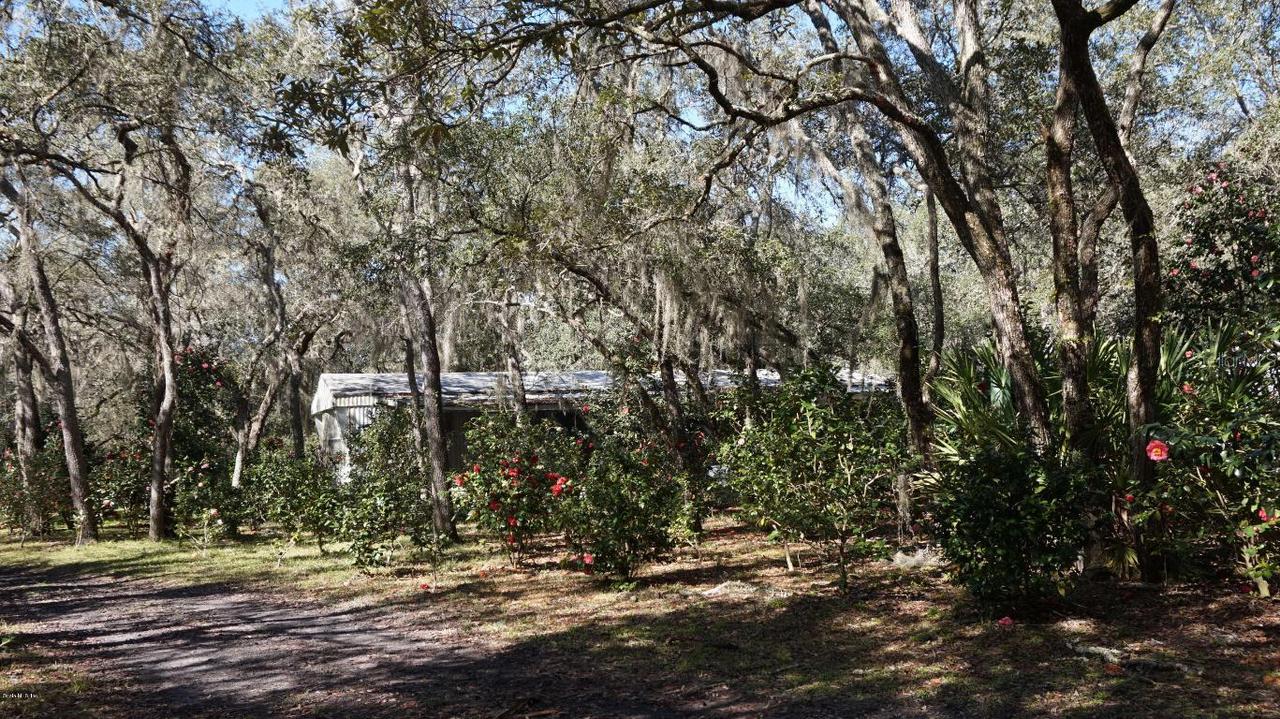 24045 NE 140 Ave., Fort Mccoy, FL 32134