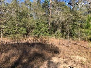 SW 21 Place, Ocala, FL 34481