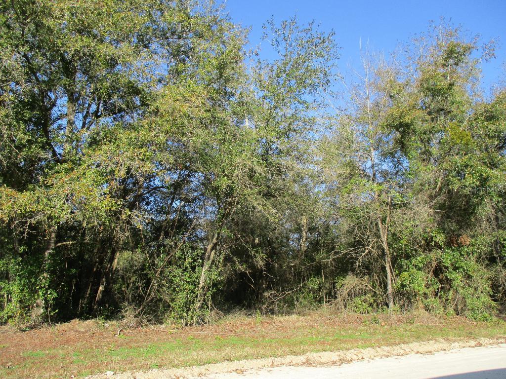 TBD NE 139th Ter., Williston, FL 32696