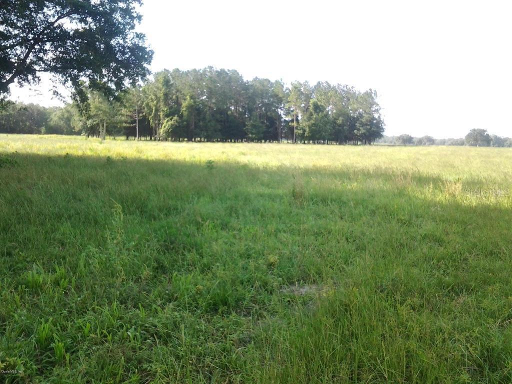 NE 75th St., Williston, FL 32696