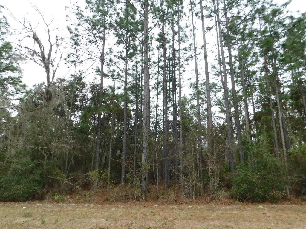 8504 SW 139 Ln., Ocala, FL 34473